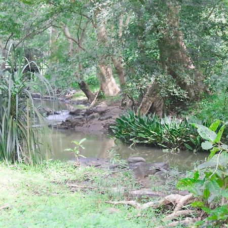 Nature Glow Cottage Udawalawe Esterno foto