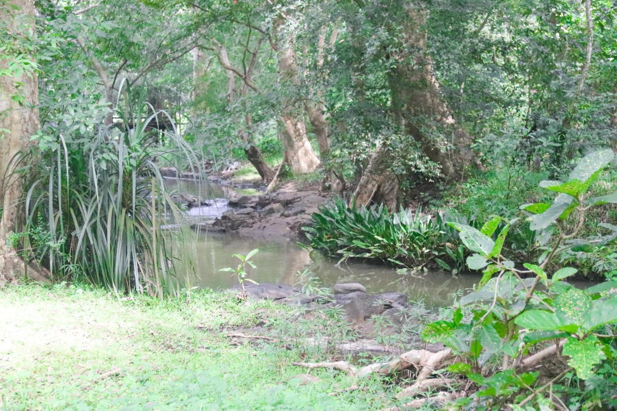 Nature Glow Cottage Udawalawe Esterno foto
