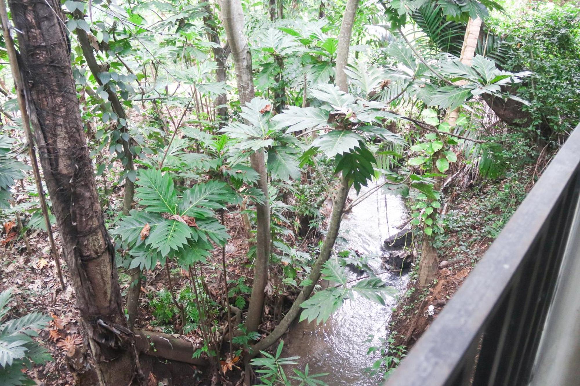 Nature Glow Cottage Udawalawe Esterno foto