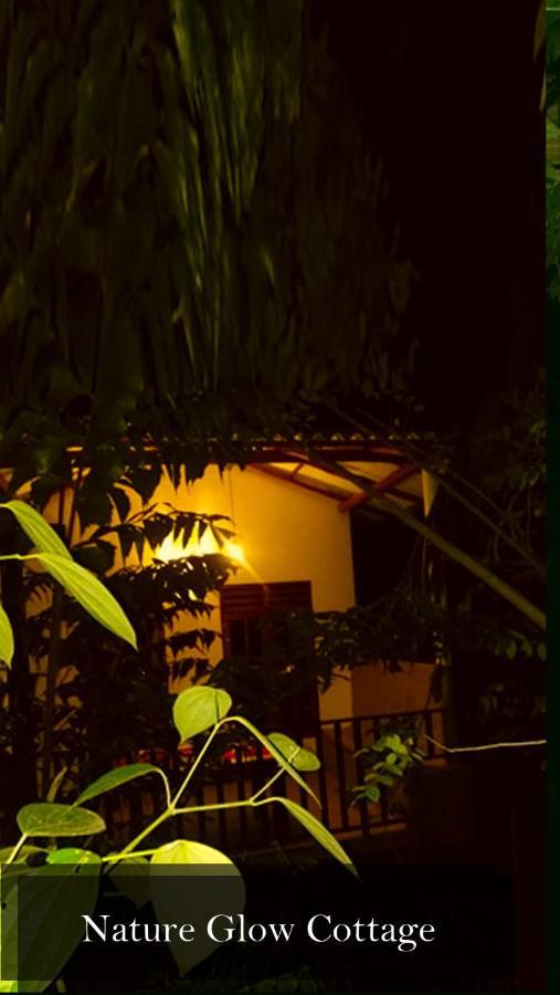 Nature Glow Cottage Udawalawe Esterno foto
