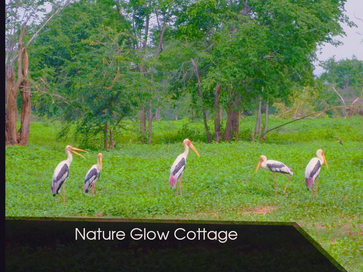 Nature Glow Cottage Udawalawe Esterno foto