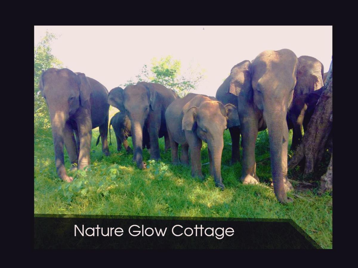Nature Glow Cottage Udawalawe Esterno foto
